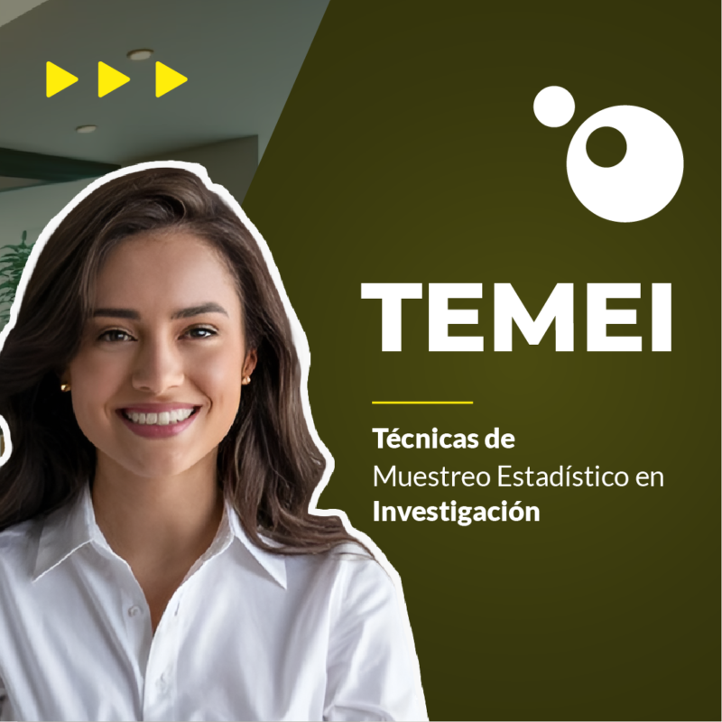 Técnicas de Muestreo Estadístico en Investigación - Imagen 2