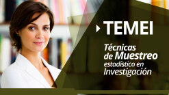 TEMEI.jpg