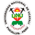 unu-150x150-1.png